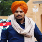 punjabffgg